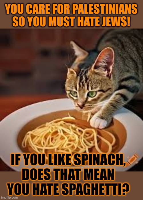 This #lolcat wonders why one thing should exclude the other | YOU CARE FOR PALESTINIANS
SO YOU MUST HATE JEWS! IF YOU LIKE SPINACH,
DOES THAT MEAN YOU HATE SPAGHETTI? | image tagged in lolcat,israel,jewish,palestine,think about it,caring | made w/ Imgflip meme maker