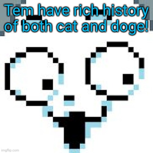 Temmie facts | Tem have rich history of both cat and doge! | image tagged in temmie,facts | made w/ Imgflip meme maker