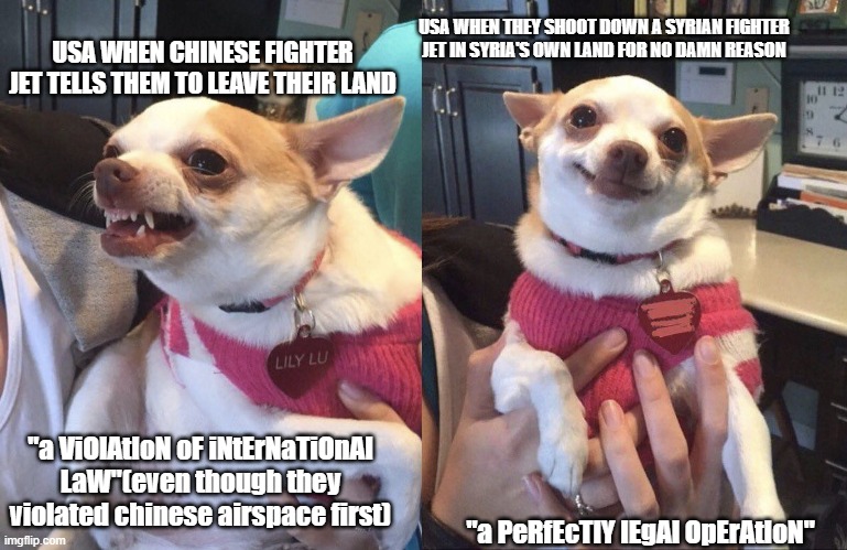 Hypocrisy be like | USA WHEN CHINESE FIGHTER JET TELLS THEM TO LEAVE THEIR LAND; USA WHEN THEY SHOOT DOWN A SYRIAN FIGHTER JET IN SYRIA'S OWN LAND FOR NO DAMN REASON; "a ViOlAtIoN oF iNtErNaTiOnAl LaW"(even though they violated chinese airspace first); "a PeRfEcTlY lEgAl OpErAtIoN" | image tagged in angry dog smiling dog | made w/ Imgflip meme maker