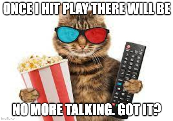 meme by Brad cat watching movie | ONCE I HIT PLAY THERE WILL BE; NO MORE TALKING. GOT IT? | image tagged in cats,funny cats,funny cat memes,humor | made w/ Imgflip meme maker
