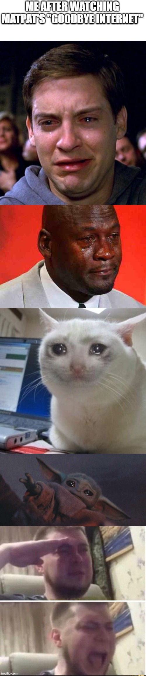 please excuse me while i mourn for the next lifetime | ME AFTER WATCHING MATPAT'S "GOODBYE INTERNET" | image tagged in crying peter parker,crying michael jordan,crying cat,baby yoda cry,crying salute | made w/ Imgflip meme maker