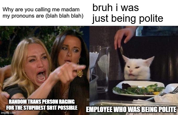 Every trans person | Why are you calling me madam my pronouns are (blah blah blah); bruh i was just being polite; RANDOM TRANS PERSON RAGING FOR THE STUPIDEST $H1T POSSIBLE; EMPLOYEE WHO WAS BEING POLITE | image tagged in memes,woman yelling at cat | made w/ Imgflip meme maker