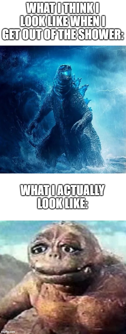 thought of this while in the shower lol | WHAT I THINK I LOOK LIKE WHEN I GET OUT OF THE SHOWER:; WHAT I ACTUALLY LOOK LIKE: | image tagged in godzilla comparison,fun,godzilla | made w/ Imgflip meme maker