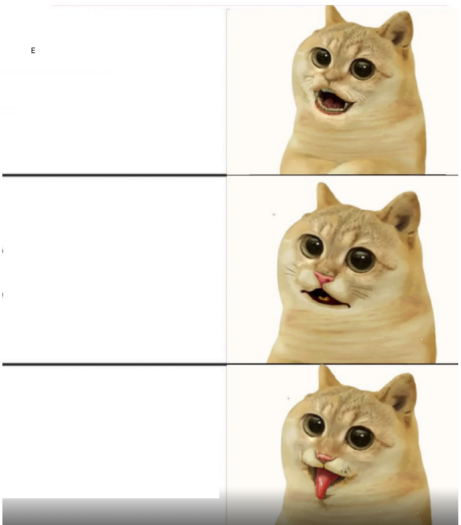 High Quality Cat Reaction Blank Meme Template