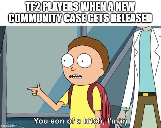 tf2 players lol | TF2 PLAYERS WHEN A NEW
COMMUNITY CASE GETS RELEASED | image tagged in morty i'm in | made w/ Imgflip meme maker