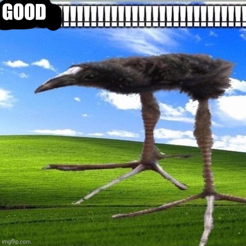 DAMN!!!!!!!!!!!!!!!!!!!!!!!!!!!! | GOOD | image tagged in damn | made w/ Imgflip meme maker