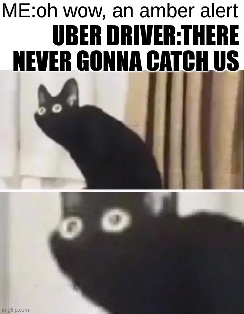 god bless me | ME:oh wow, an amber alert; UBER DRIVER:THERE NEVER GONNA CATCH US | image tagged in oh no black cat,uber driver | made w/ Imgflip meme maker