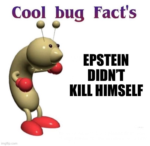 Cool Bug Facts | EPSTEIN DIDN’T KILL HIMSELF | image tagged in cool bug facts,jeffrey epstein,memes,funny memes,shitpost,dank memes | made w/ Imgflip meme maker
