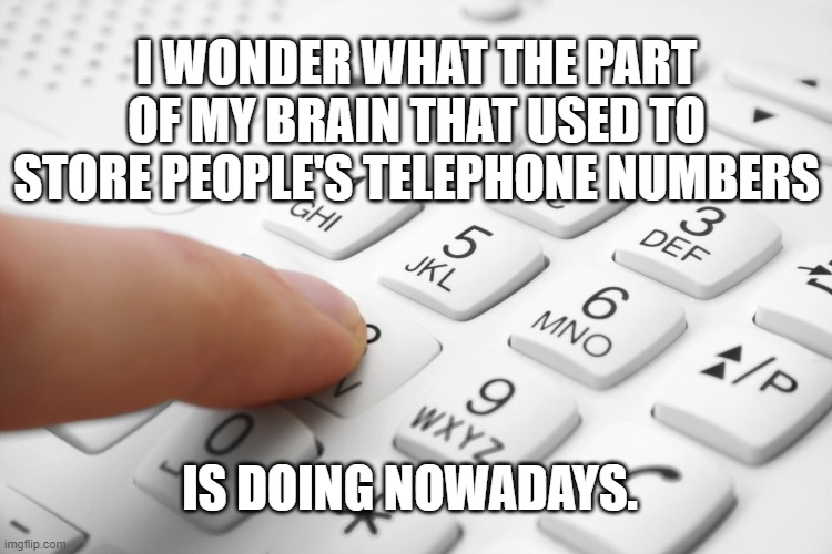 Part of my brain | I WONDER WHAT THE PART OF MY BRAIN THAT USED TO STORE PEOPLE'S TELEPHONE NUMBERS; IS DOING NOWADAYS. | image tagged in phone numbers brain | made w/ Imgflip meme maker