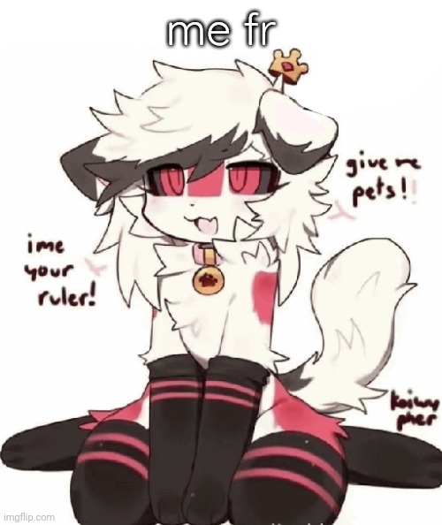 :3 | me fr | image tagged in furry femboy speech bubble | made w/ Imgflip meme maker