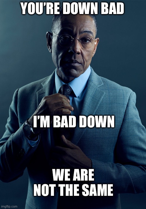 Gus Fring we are not the same | YOU’RE DOWN BAD I’M BAD DOWN WE ARE NOT THE SAME | image tagged in gus fring we are not the same | made w/ Imgflip meme maker