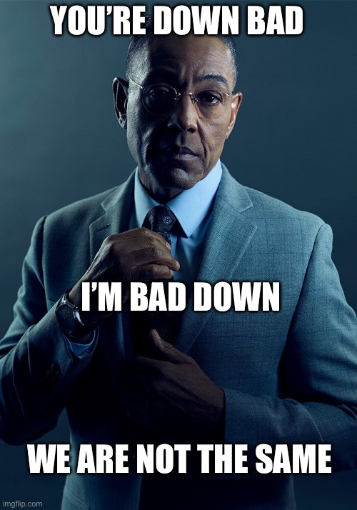 i'm up good | YOU’RE DOWN BAD; I’M BAD DOWN; WE ARE NOT THE SAME | image tagged in gus fring we are not the same | made w/ Imgflip meme maker