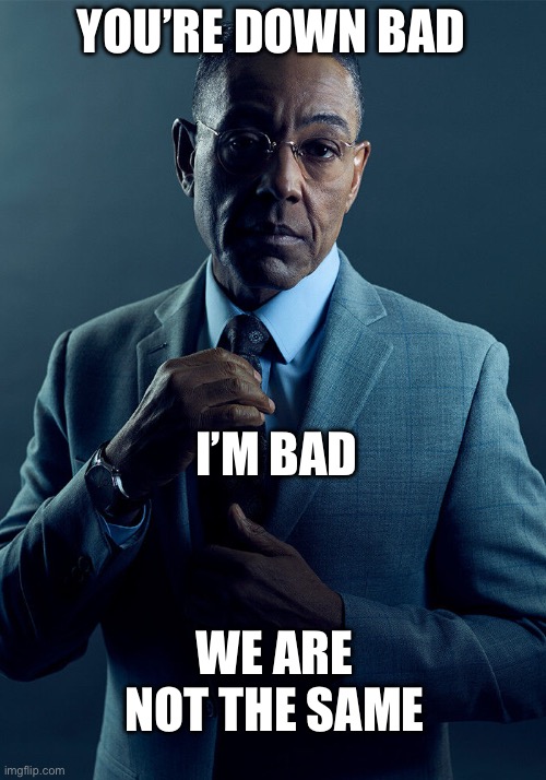 Gus Fring we are not the same | YOU’RE DOWN BAD; I’M BAD; WE ARE NOT THE SAME | image tagged in gus fring we are not the same | made w/ Imgflip meme maker