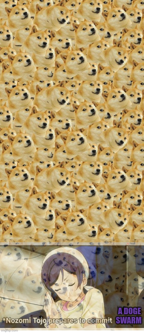 A DOGE SWARM | image tagged in memes,multi doge,yandere nozomi | made w/ Imgflip meme maker