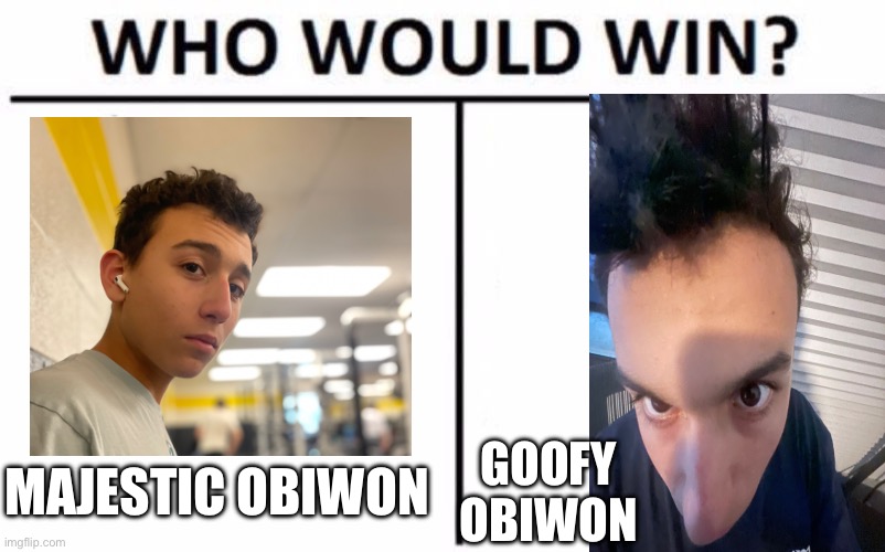 Who Would Win? | MAJESTIC OBIWON; GOOFY OBIWON | image tagged in memes,who would win | made w/ Imgflip meme maker