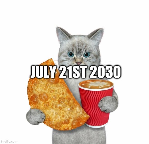 JULY 21ST 2030 | image tagged in cat | made w/ Imgflip meme maker