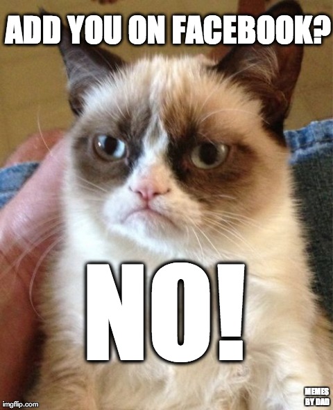 Grumpy Cat Meme | ADD YOU ON FACEBOOK? NO! MEMES BY DAD | image tagged in memes,grumpy cat | made w/ Imgflip meme maker