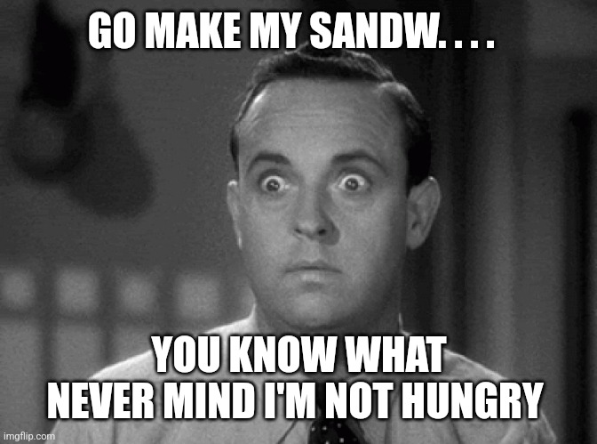 shocked face | GO MAKE MY SANDW. . . . YOU KNOW WHAT
NEVER MIND I'M NOT HUNGRY | image tagged in shocked face | made w/ Imgflip meme maker