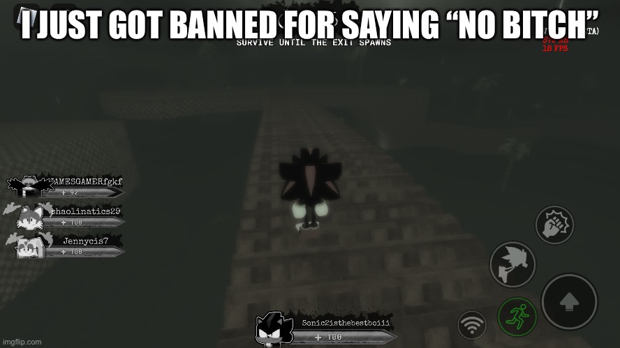 It was definitely willy | I JUST GOT BANNED FOR SAYING “NO BITCH” | made w/ Imgflip meme maker