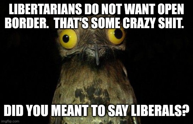 bird shit crazy | LIBERTARIANS DO NOT WANT OPEN BORDER.  THAT'S SOME CRAZY SHIT. DID YOU MEANT TO SAY LIBERALS? | image tagged in bird shit crazy | made w/ Imgflip meme maker
