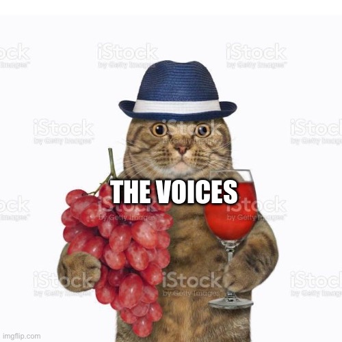 THE VOICES | image tagged in cat,irony | made w/ Imgflip meme maker