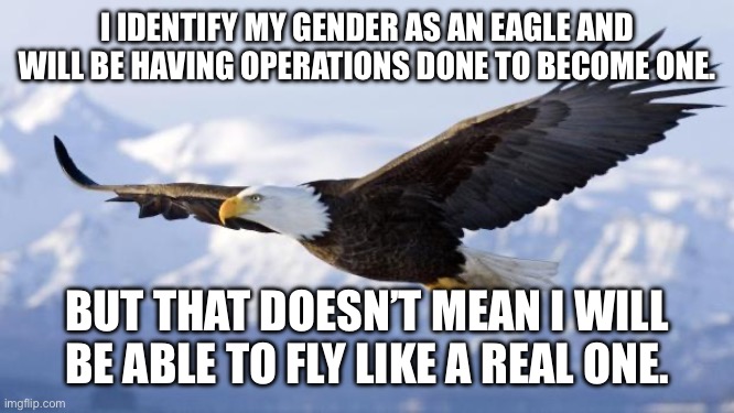 eagle | I IDENTIFY MY GENDER AS AN EAGLE AND WILL BE HAVING OPERATIONS DONE TO BECOME ONE. BUT THAT DOESN’T MEAN I WILL BE ABLE TO FLY LIKE A REAL ONE. | image tagged in eagle | made w/ Imgflip meme maker