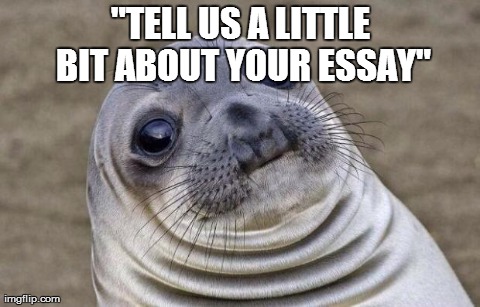 Awkward Moment Sealion | "TELL US A LITTLE BIT ABOUT YOUR ESSAY" | image tagged in awkward sealion,AdviceAnimals | made w/ Imgflip meme maker