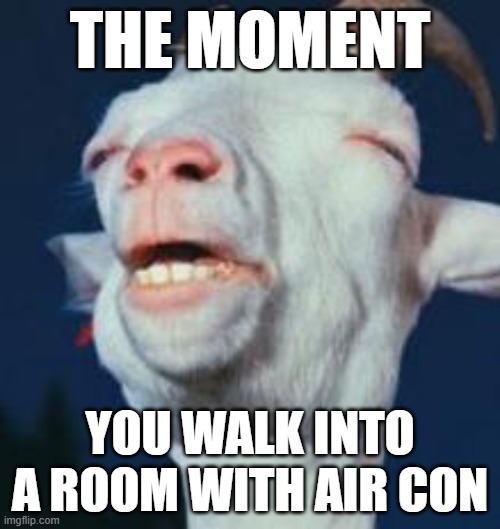 Air Con | THE MOMENT; YOU WALK INTO A ROOM WITH AIR CON | image tagged in goat | made w/ Imgflip meme maker