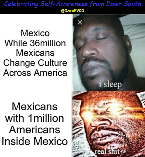 Celebrating Self-Awareness from Down South | Celebrating Self-Awareness from Down South; @OzwinEVCG | image tagged in sleeping shaq,mexico,america,self awareness,mexicans,immigration | made w/ Imgflip meme maker