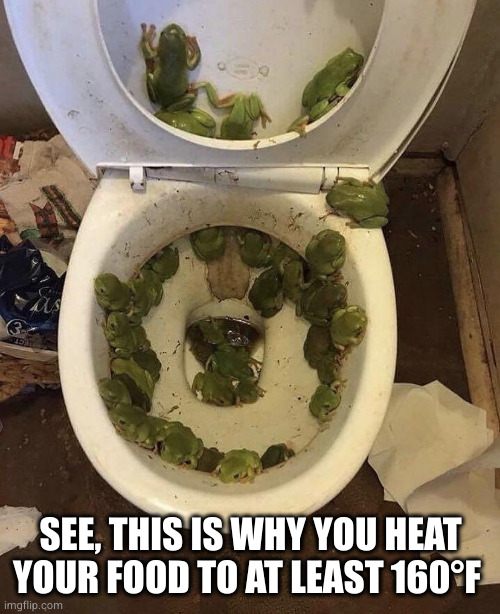 feisty little shits | SEE, THIS IS WHY YOU HEAT YOUR FOOD TO AT LEAST 160°F | image tagged in frogs in da toilet | made w/ Imgflip meme maker