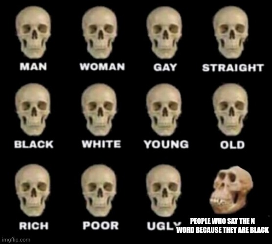 Skulls ape stupid human homo erectus neanderthal | PEOPLE WHO SAY THE N WORD BECAUSE THEY ARE BLACK | image tagged in skulls ape stupid human homo erectus neanderthal | made w/ Imgflip meme maker