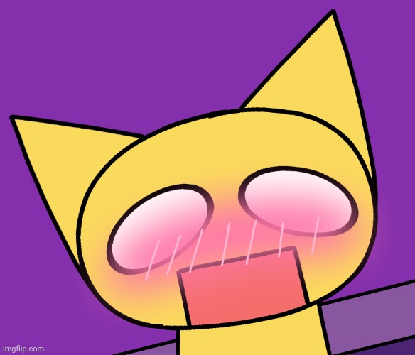 Aimkid Yellow Cat blushing | image tagged in aimkid yellow cat blushing | made w/ Imgflip meme maker
