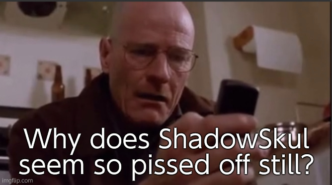 Walter white sad | Why does ShadowSkul seem so pissed off still? | image tagged in walter white sad | made w/ Imgflip meme maker