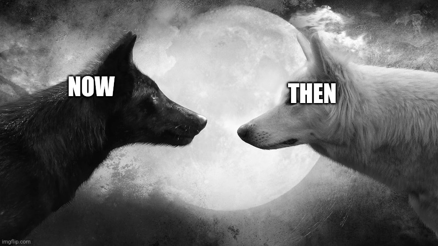 You have two wolves | THEN NOW | image tagged in you have two wolves | made w/ Imgflip meme maker