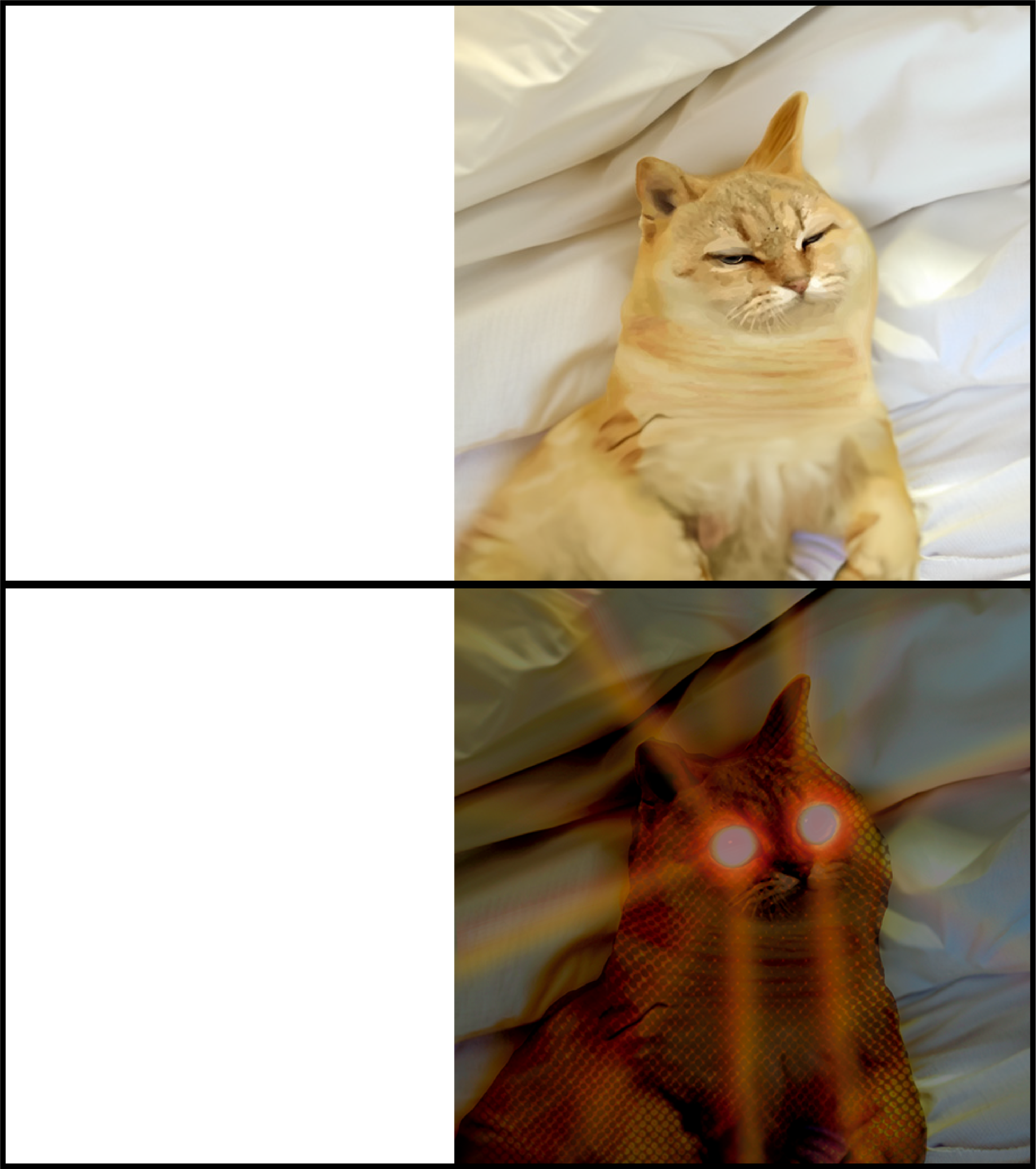 sleeping cat Blank Meme Template