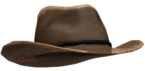 Cowboy Hat Blank Meme Template