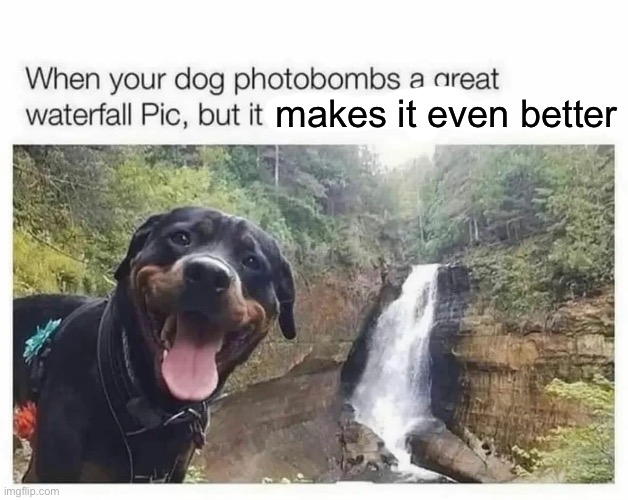 Better | makes it even better | image tagged in better,why do i fix everything i touch,photobomb | made w/ Imgflip meme maker