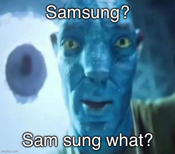 gar | Samsung? Sam sung what? | image tagged in avatar guy | made w/ Imgflip meme maker