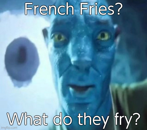Avatar guy | French Fries? What do they fry? | image tagged in avatar guy | made w/ Imgflip meme maker