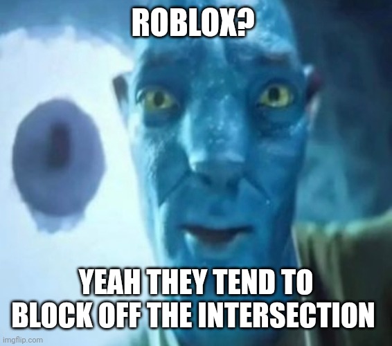 Avatar guy | ROBLOX? YEAH THEY TEND TO BLOCK OFF THE INTERSECTION | image tagged in avatar guy | made w/ Imgflip meme maker