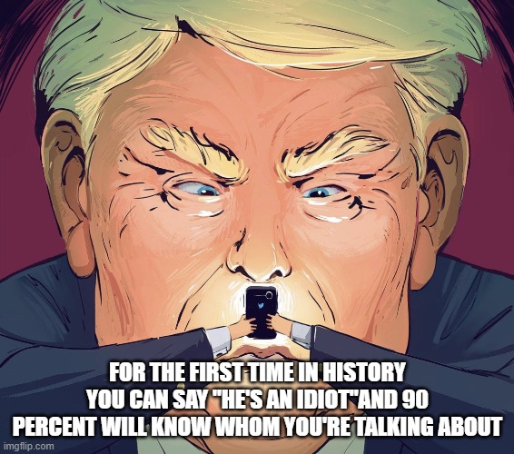 Trump idiot | FOR THE FIRST TIME IN HISTORY YOU CAN SAY "HE'S AN IDIOT"AND 90 PERCENT WILL KNOW WHOM YOU'RE TALKING ABOUT | image tagged in trump hitler | made w/ Imgflip meme maker