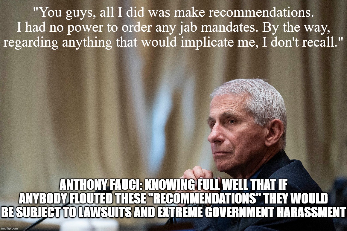 Fauci Has No Power, You Guys | "You guys, all I did was make recommendations. I had no power to order any jab mandates. By the way, regarding anything that would implicate me, I don't recall."; ANTHONY FAUCI: KNOWING FULL WELL THAT IF ANYBODY FLOUTED THESE "RECOMMENDATIONS" THEY WOULD BE SUBJECT TO LAWSUITS AND EXTREME GOVERNMENT HARASSMENT | image tagged in dr fauci testifies,lies,proof | made w/ Imgflip meme maker