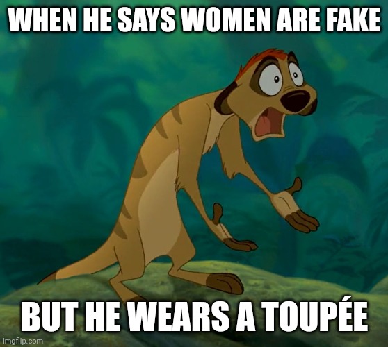 Fake hair | WHEN HE SAYS WOMEN ARE FAKE; BUT HE WEARS A TOUPÉE | image tagged in baffled timon | made w/ Imgflip meme maker
