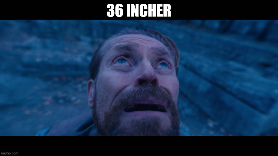 willem dafoe looking up | 36 INCHER | image tagged in willem dafoe looking up | made w/ Imgflip meme maker