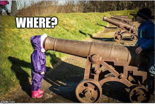 Girl Face In Cannon | WHERE? | image tagged in girl face in cannon | made w/ Imgflip meme maker