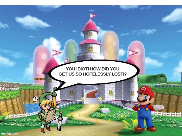 YOU IDIOT! HOW DID YOU GET US SO HOPELESSLY LOST!? | image tagged in link,super mario | made w/ Imgflip meme maker