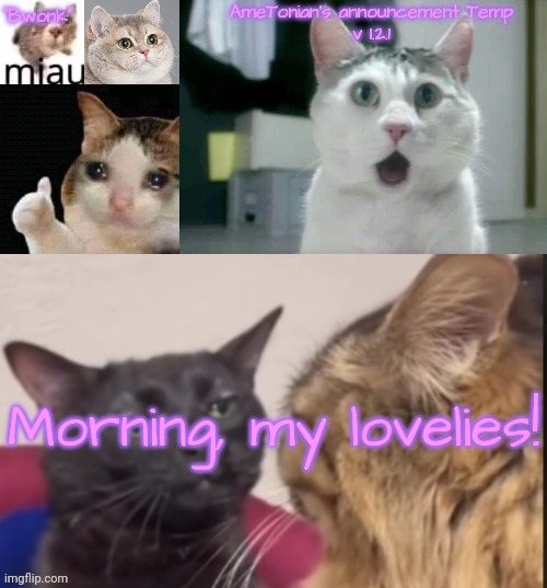 AmeTonian's announcement Temp v 1.2.1 | Morning, my lovelies! | image tagged in ametonian's announcement temp v 1 2 1 | made w/ Imgflip meme maker