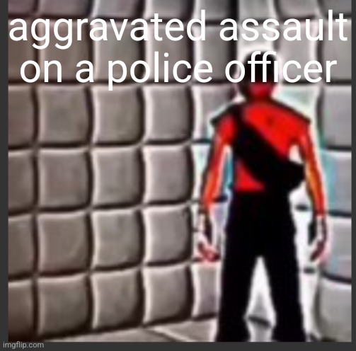 Scout goes insane | aggravated assault on a police officer | image tagged in scout goes insane | made w/ Imgflip meme maker