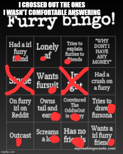 Furry bingo | I CROSSED OUT THE ONES I WASN'T COMFORTABLE ANSWERING | image tagged in furry bingo | made w/ Imgflip meme maker
