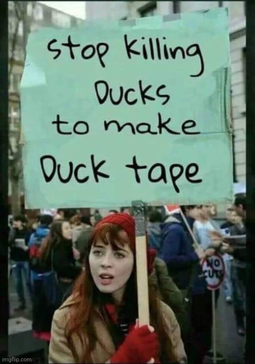 It's ignorant HEE HEE | image tagged in stop killing ducks to make duck tape | made w/ Imgflip meme maker